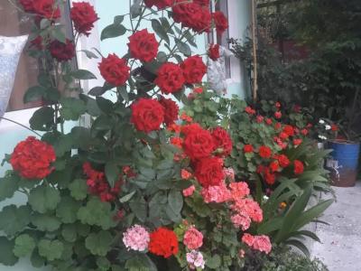 Фото отеля