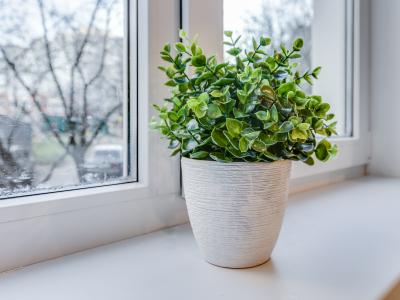Фото номера отеля