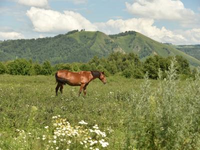 Фото отеля