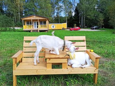 Фото отеля