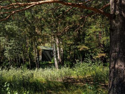 Фото номера отеля