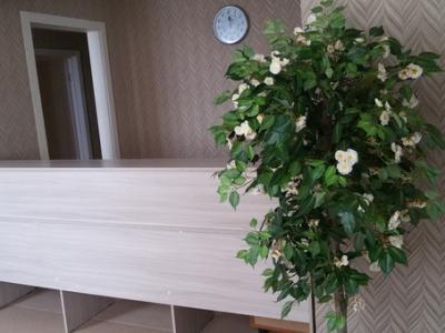 Фото отеля