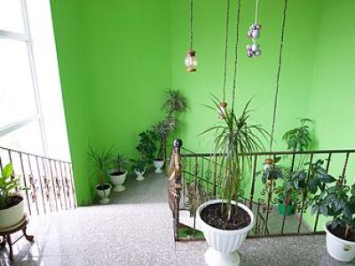 Фото отеля