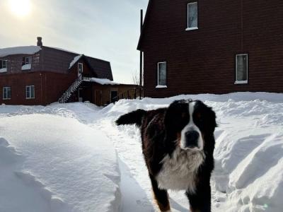 Фото отеля