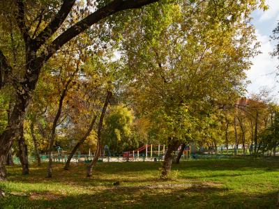Фото номера отеля