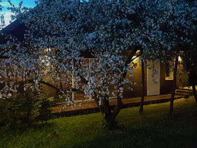 Фото отеля