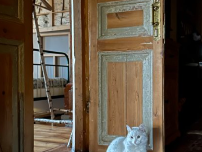Фото номера отеля