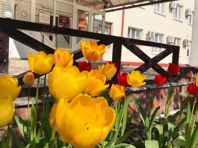 Фото отеля