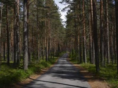 Фото отеля