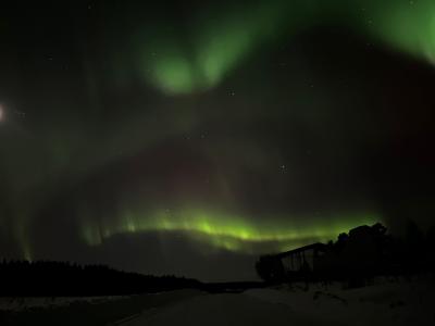 Фото номера отеля