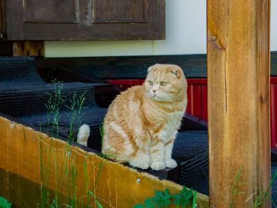 Фото отеля