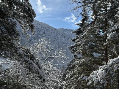 Фото номера отеля