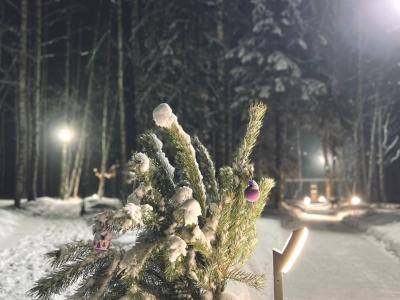 Фото отеля