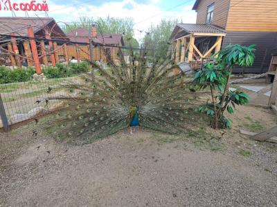 Фото отеля
