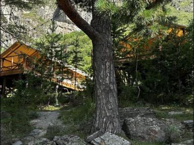 Фото номера отеля