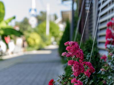 Фото номера отеля
