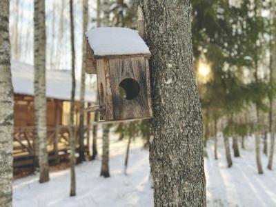 Фото отеля