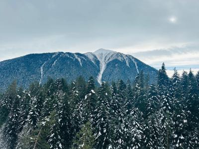 Фото номера отеля