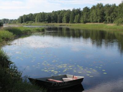 Фото номера отеля