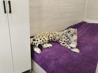 Фото номера отеля