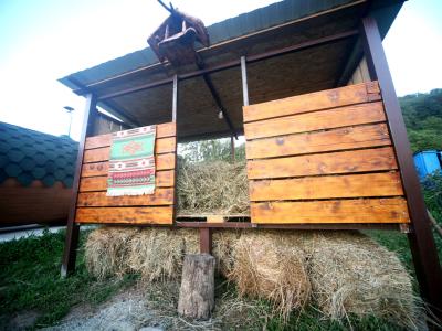 Фото отеля