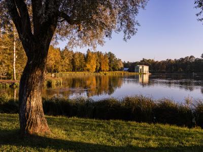 Фото отеля