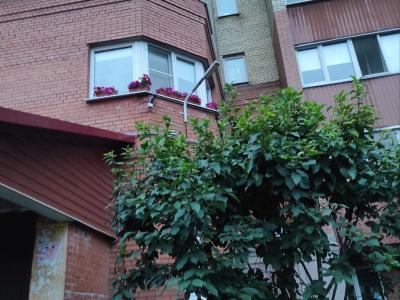 Фото номера отеля