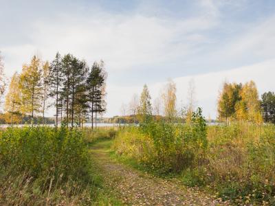 Фото отеля