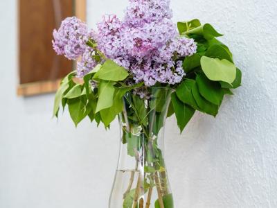 Фото номера отеля