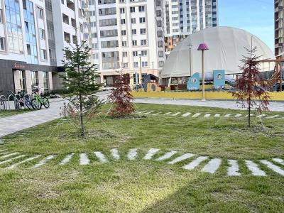 Фото номера отеля