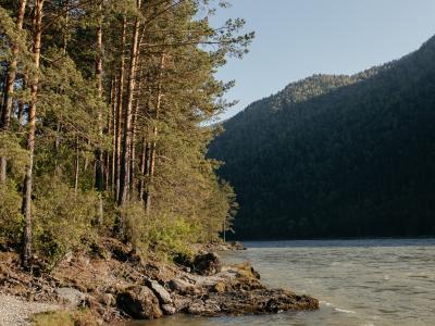 Фото отеля