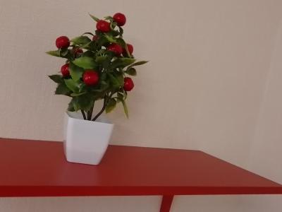 Фото номера отеля