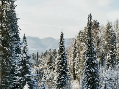 Фото номера отеля