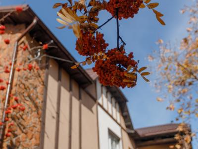 Фото отеля