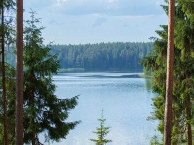 Фото отеля