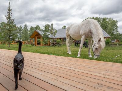 Фото отеля