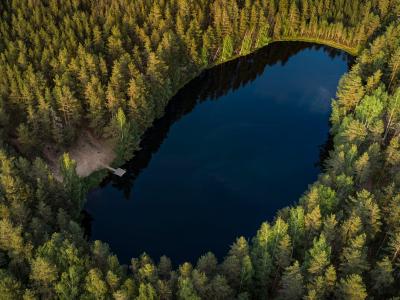 Фото отеля