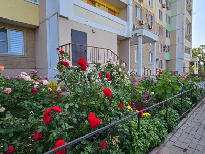Фото отеля