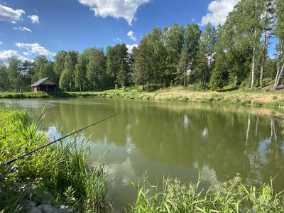 Фото отеля