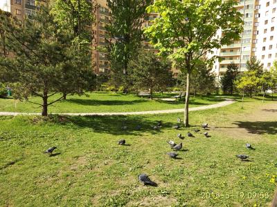 Фото номера отеля