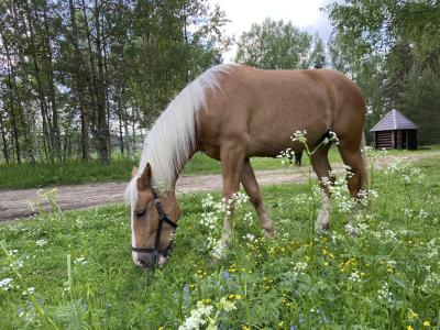Фото отеля