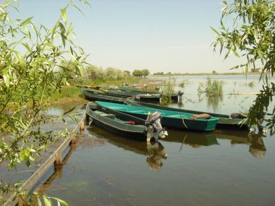 Фото отеля
