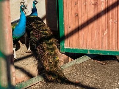 Фото отеля