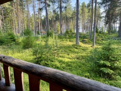Фото номера отеля