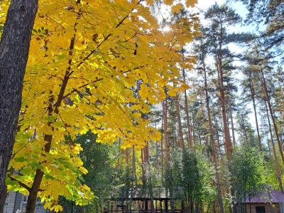 Фото отеля