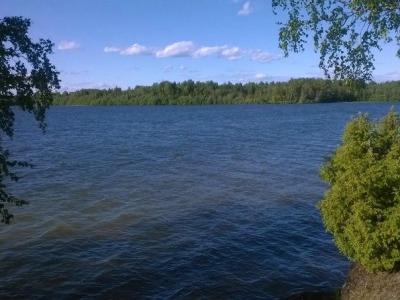 Фото отеля