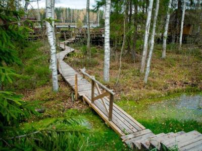 Фото номера отеля