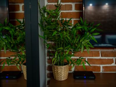 Фото номера отеля