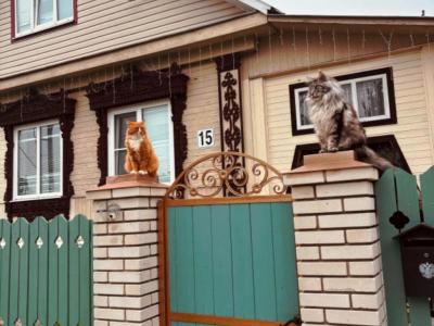 Фото номера отеля