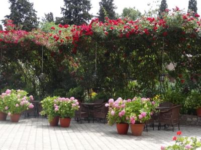 Фото отеля
